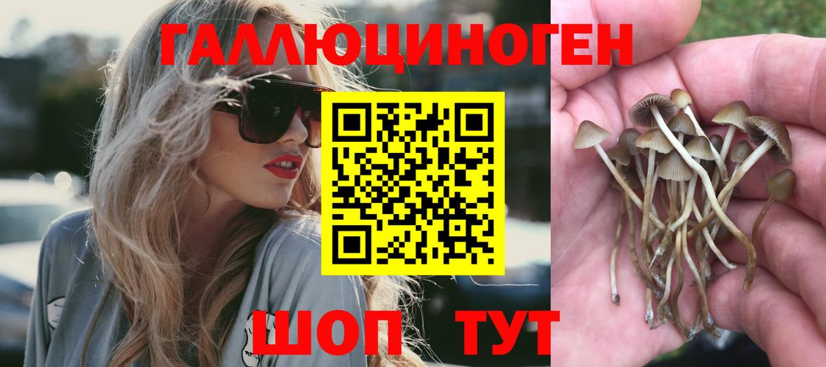 Псилоцибиновые грибы мицелий  Вход с VPN  Елизово 