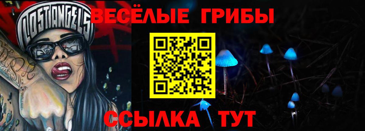 Псилоцибиновые грибы мицелий Елизово
